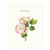 Speckle Rose - thank  you