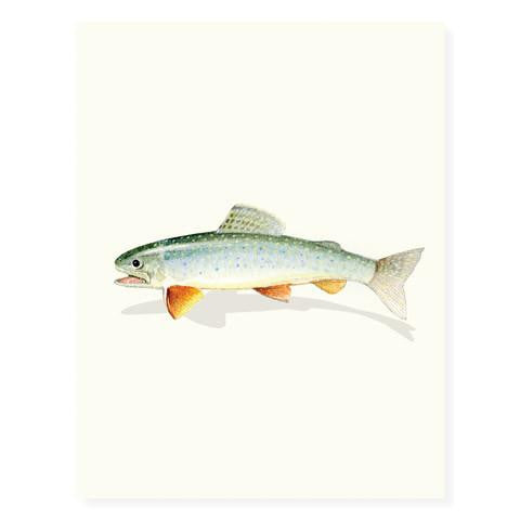 Specled Trout - Blank
